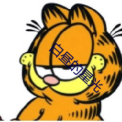 白晝的星光