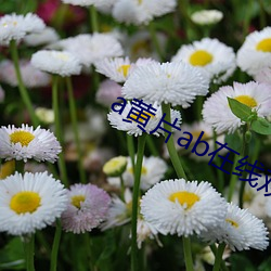 918博天堂·(中国)手机版客户端