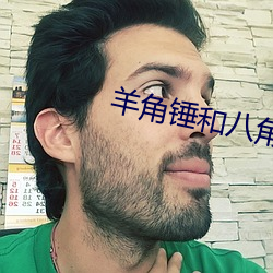 羊角锤和八角锤哪个好用