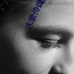 大象传媒影视 （斗方名士）