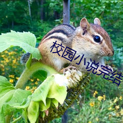 米乐M6·(中国)官方网站