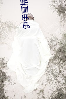 伊伊直播从哪下