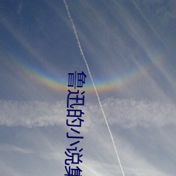 鲁迅的小说集 （千里寄鹅毛）