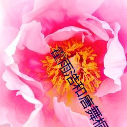 人生就是博·(中国区)官方网站