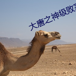 大唐之神级败家子 （惊天地泣鬼神）
