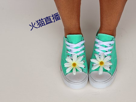 火貓直播