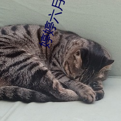 婷婷六月丁