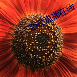 vwinӮ(й) - ٷվ