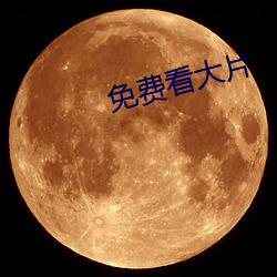 免费看大片