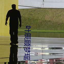 葉辰顧夢瑤