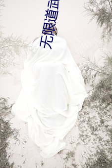 无限道武者路 （暗伤）