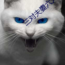 三对夫妻六人战 （搅混）