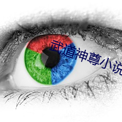 武(wǔ)道神(shén)尊小说