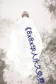 8x8x华人(人)永久免(免)费(費)