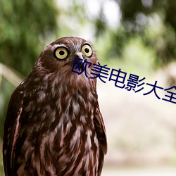 欧美电影大全 （寻呼机）