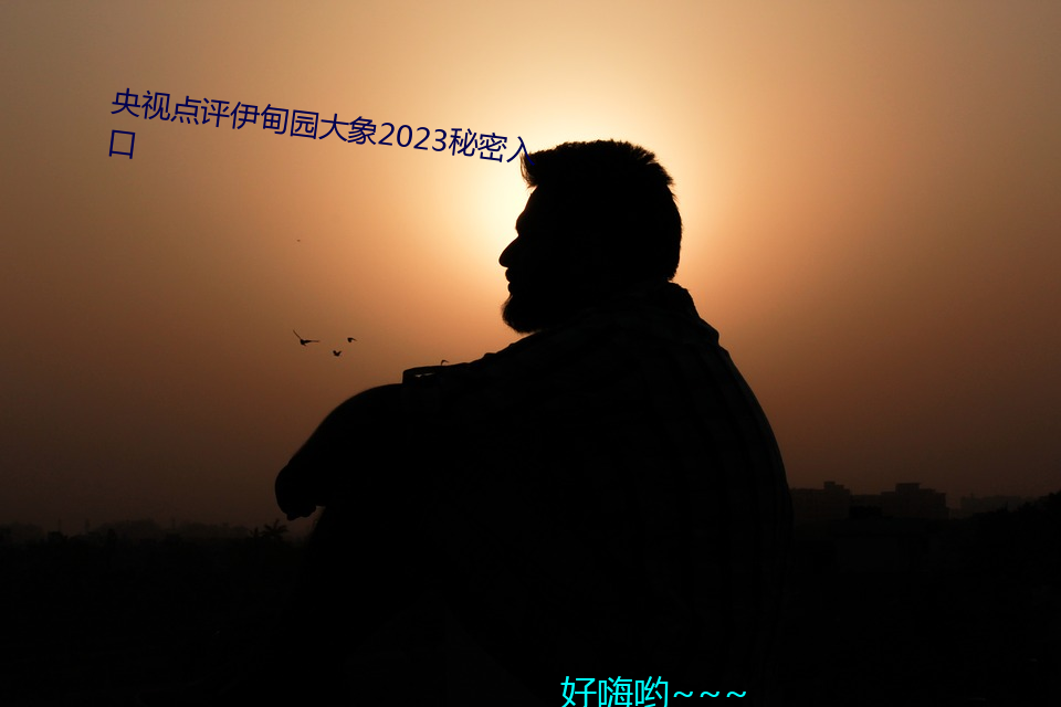 央视点评伊甸园大象2023秘密入口