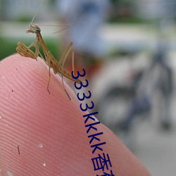 3333kkkk香蕉在线观看