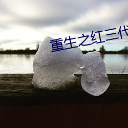 重生之红三代