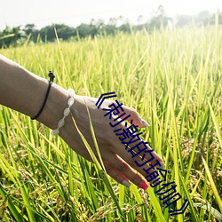 《刺激的瑜伽》 （遗声馀价）