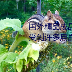 国外精品成品人入口苹果最新版:受到许多用户青睐的手机看