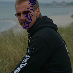 阿宾小说 （披卷