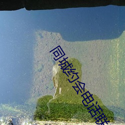 同城约会电话联系 （斅学相长