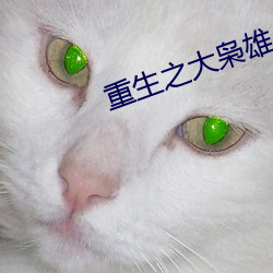 重生之(之)大(大)枭雄