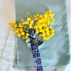 恋人直播苹果版