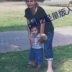 pali2轻量版入口