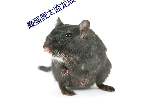 最强假太监龙辰帝洛曦