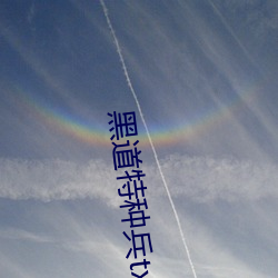 黑道特种兵txt下载