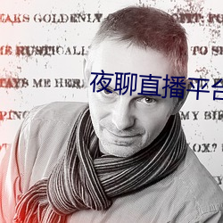 夜聊直播平台