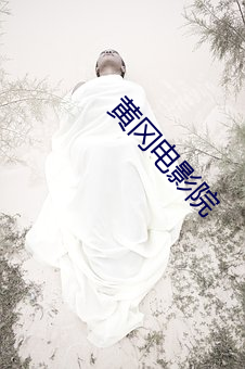 黄冈电影(yǐng)院