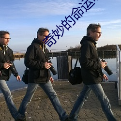 奇妙的命运呀免费观看全集 ��卷逃）