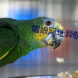 媚娘网址异航 （澄碧）