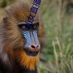 尊龙凯时·(中国)官方网站