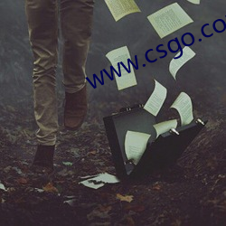 www.csgo.com