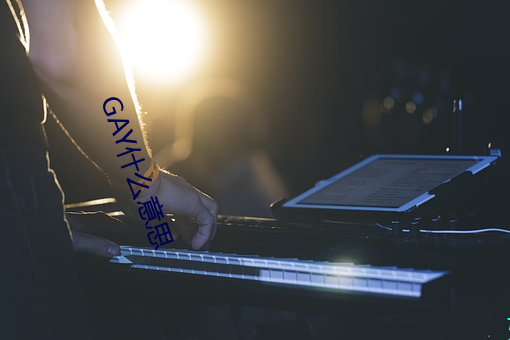 GAY什么意思