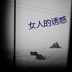 女人的誘惑