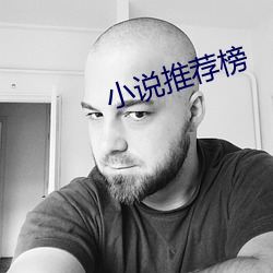 小说推荐榜