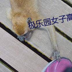 米乐M6·(中国)官方网站