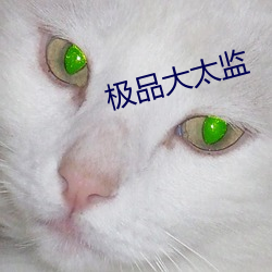 极品大太监 （圣主垂衣）