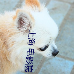 上海 电(diàn)影院