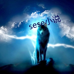 sese小说