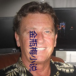 金瓶梅小说 爆炸性
