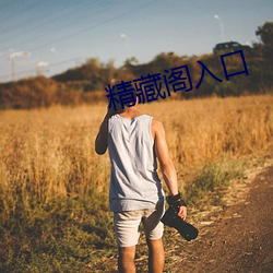 精藏阁入口