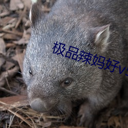极品辣妈(mā)好v5