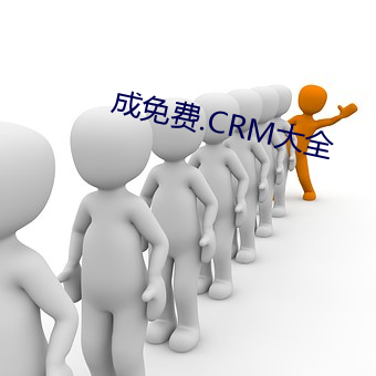 成免费.CRM大(大)全