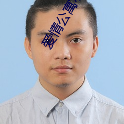 爱(ài)情公寓(yù)小说