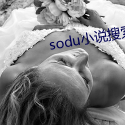 sodu小说搜索